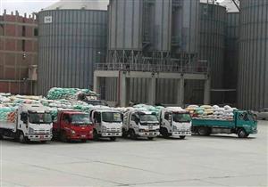 محافظ الشرقية يعلن كمية القمح الموردة بصوامع وشون المحافظة