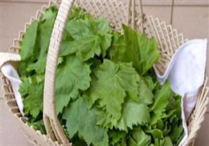 بالفيديو.. هذه أسهل طريقة لحفظ ورق العنب