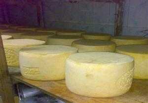 ضبط 23 طن جبن مجهول المصدر داخل شركة مواد غذائية بالسلام