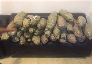 ضبط شخصين حاولا غسل 13.5 مليون جنية حصيلة تجارة المخدرات