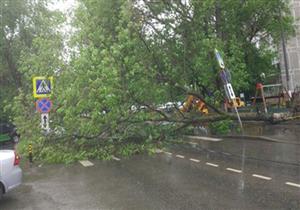 ارتفاع حصيلة ضحايا عاصفة موسكو إلى 15 قتيلا وحوالي 200 مصاب