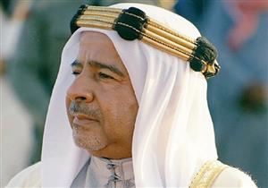 محمد بن مبارك يعلن فوز مؤسسة مستشفى سرطان الأطفال بمصر بجائزة عيسى لخدمة الإنسانية