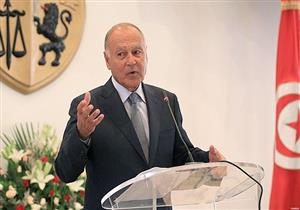 أبو الغيط: نأمل أن يدعم اتفاق المناطق الآمنة مسار التسوية في سوريا