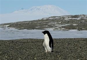 دراسة: تغير المناخ يضر بصحة الملايين على الصعيد العالمي