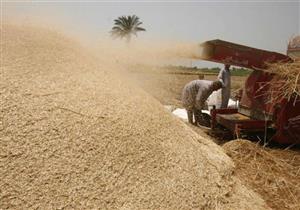 التموين تستهدف استيراد 6.2 مليون طن قمحا العام المالي المقبل