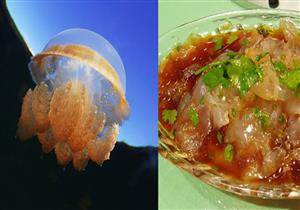 ما لا تعرفه عن قنديل البحر.. وجبة شهية في هذه الدول