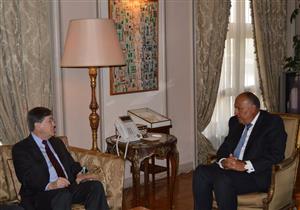 وزير الخارجية يستقبل مدير القوة متعددة الجنسيات في سيناء