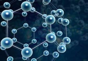 رائدة استخدام النانو في علاج الأسماك تدعو لاستخدام التقنيات والأساليب الحديثة لمكافحة الأمراض