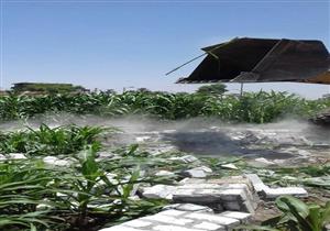 بالصور.. إزالة 15 حالة تعد على الأراضي الزراعية في سوهاج