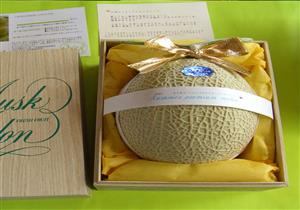  في اليابان.. ثمرة الشمام الواحدة بـ 250 دولارًا.. والسبب