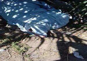 بلدغة ثعبان.. مصرع طفل وسط أرض زراعية في الدقهلية