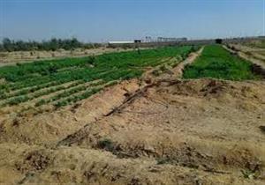 فتح باب التقديم على باقي الأحواض بالحزام الأخضر لشركة 6 أكتوبر الزراعية