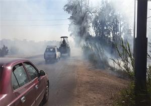  دراسة صينية: الهواء الملوث يسبب التوتر ومرض السكر