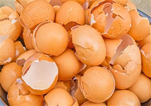  لا تهمل قشر البيض بعد الآن.. تعرف على فوائده العلاجية للبشرة والشعر