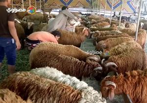 انفوجرافيك| كيف استعدت وزارة الزراعة لاستقبال عيد الأضحى؟