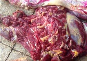 ضبط لحوم غير صالحة للاستهلاك بجمعية تعاونية كبرى في الإسماعيلية