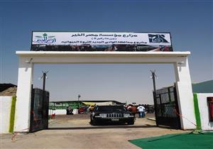 بنك الزراعة و"مصر الخير" ينفذان دراسة للتوسع في الإنتاج الحيواني بالوادي الجديد