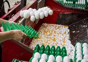 بلجيكا تقر بعلمها منذ يونيو بشحنة البيض الملوث