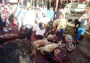 بالصور.. الإسكندرية تكتسي بالأحمر وتخالف قرار منع الذبح في الشوارع