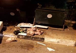 العثور على رؤوس خنازير مذبوحة في السويس