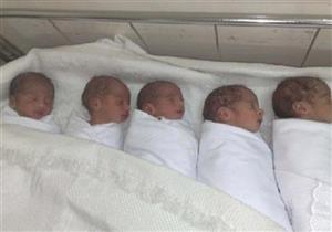  سيدة في أسيوط تضع 5 توائم