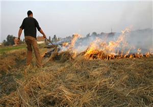 1335 محضر سحابة سوداء وتجميع 14 ألف طن قش أرز بالغربية وكفر الشيخ