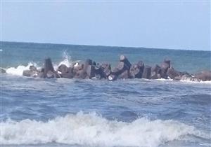 البحث الجنائي يكشف هوية "الغريق الثالث في شاطئ الموت" بالإسكندرية 