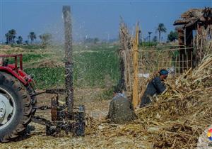 ماكينة فرم ذرة تلتهم عاملاً زراعيًا بالبحيرة