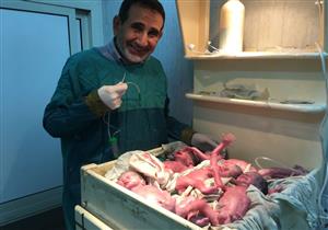 والد "توائم أسيوط الخمسة": حياة أطفالي في خطر بسبب نقص الحضانات - صور