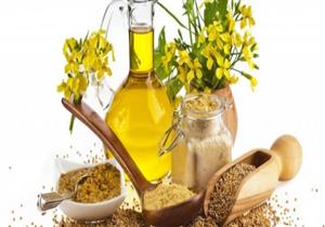 من وصفات الفراعنة.. 10 فوائد ذهبية لزيت الخردل