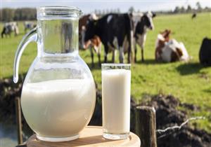 ما الفرق بين حليب الإبل والماعز والبقر؟