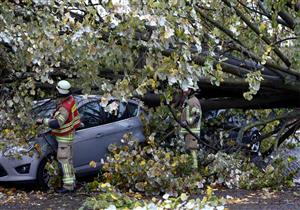 نجاة أم وابنها من سقوط شجرة ضخمة عليهما