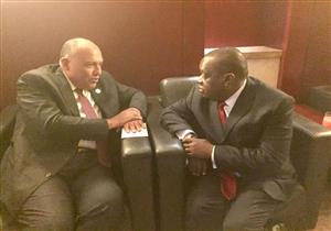 شكري يبحث مع وزير خارجية زيمبابوي العلاقات الثنائية والقضايا الإقليمية