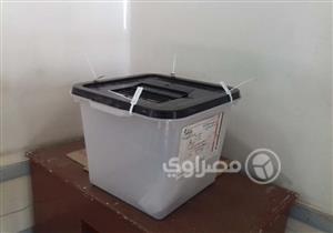 غدًا.. جولة الإعادة في الانتخابات التكميلية لدائرة زفتي