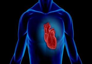 تمدد «الأورطي».. كيف تحمي الشريان الرئيس في جسمك؟ 