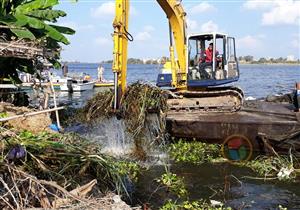 الري تكشف حقيقة استهلاك ورد النيل 3 مليارات متر مكعب من المياه