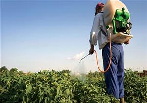 "الزراعة" تواصل جهودها لضبط المخالفين من تجار المبيدات المغشوشة