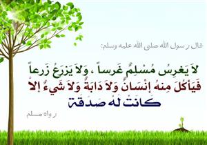 حديثٌ ومعنى: "مَا مِن مُسلم يَغرِسُ غَرْسًا أو يَزرَعُ زَرْعًا..."