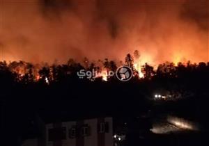 على مساحة 3 أفدنة.. 4 سيارات إطفاء تواجه "النار والرياح" بمزرعة نخيل بالصف