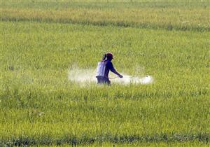 "خانة للتوقيع وباركود".. خطة "الزراعة" لتطبيق منظومة الأسمدة الجديدة