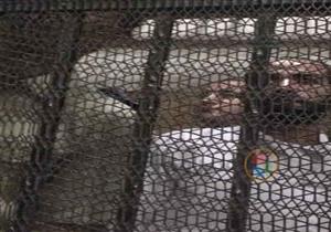 النيابة في محاكمة المتهم بقتل طفليه: البشرية لم تعرف جريمة مثل هذه الواقعة