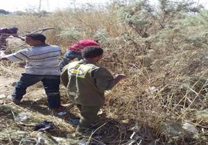  بالصور.. لمنع تكرار الحرائق إزالة الهيش والبوص من الجبانة الفاطمية الأثرية بأسوان