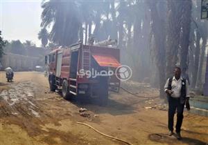 حريق هائل في مزارع نخيل بالوادي الجديد
