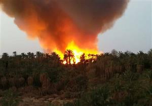 بالأسماء.. إصابة 28 بينهم 3 أفراد شرطة في حريق "الراشدة" بالوادي الجديد