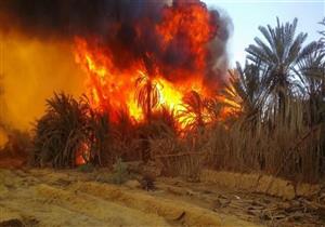 بعد احتراق الوحدة الصحية.. مستشفى ميدانى بمدرسة الراشدة في الوادي الجديد