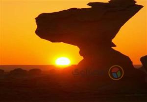 "سياحة التأمل" في صحراء الوادي الجديد.. يوجا وصلوات و"ترويق دم"