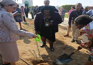 بالصور.. وزيرة البيئة ووفود "التنوع البيولوجي" يزرعون أشجار الزيتون بشرم الشيخ