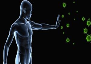 بـ5 جنيهات فقط.. نوع خضار يقوي مناعتك ويحميك من أمراض الكلى