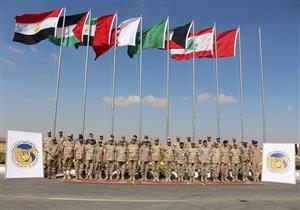 متحدث: انطلاق تدريب "درع العرب-1" بقاعدة محمد نجيب العسكرية