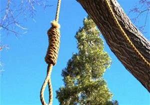 طالب ينتحر بشنق نفسه على شجرة في قنا